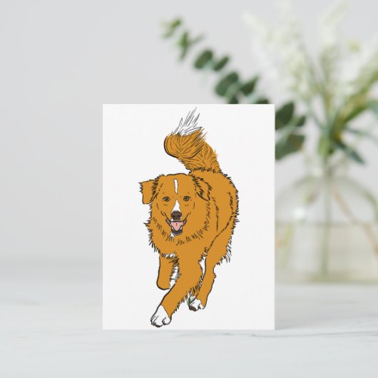 Nova Scotia Duck Tolling Retriever Briefkaart (Staand voorkant)