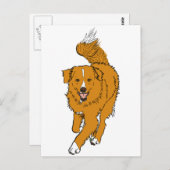 Nova Scotia Duck Tolling Retriever Briefkaart (Voorkant / Achterkant)