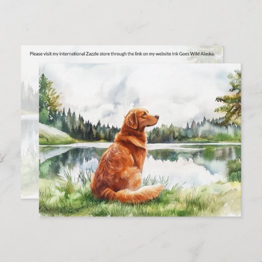 Nova Scotia Duck Tolling Retriever - Briefkaart (Voorkant / Achterkant)