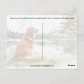 Nova Scotia Duck Tolling Retriever - Briefkaart (Achterkant)