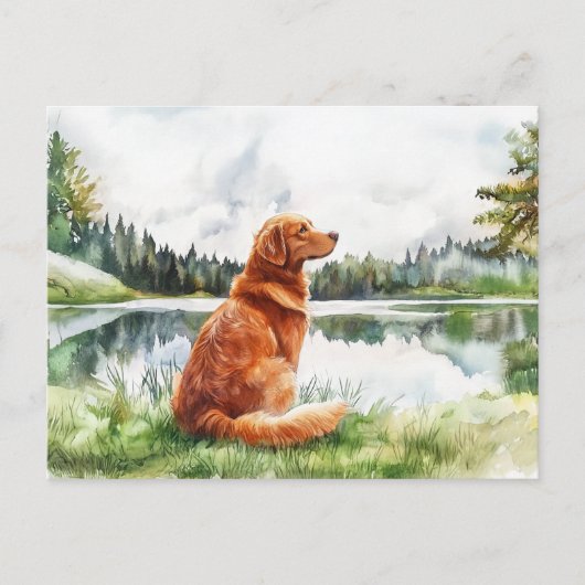 Nova Scotia Duck Tolling Retriever - Briefkaart (Voorkant)