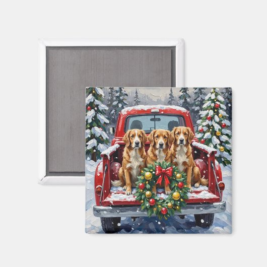 Nova Scotia Duck Tolling Retriever Christmas Red Magneet (Voorkant / Achterkant)