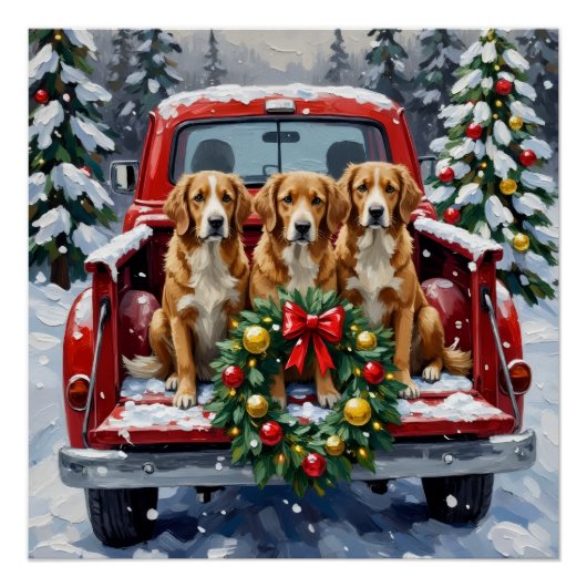 Nova Scotia Duck Tolling Retriever Christmas Red Perfect Poster (Voorkant)