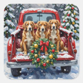 Nova Scotia Duck Tolling Retriever Christmas Red Vierkante Sticker (Voorkant)