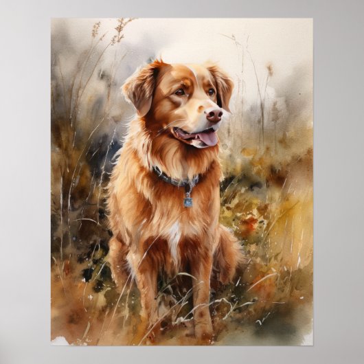Nova Scotia Duck Tolling Retriever Dog Art Poster (Voorkant)