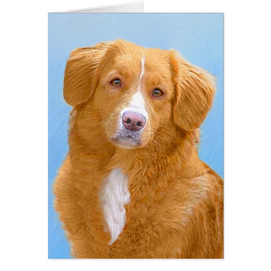 Nova Scotia Duck Tolling Retriever Dog Painting (Voorkant)