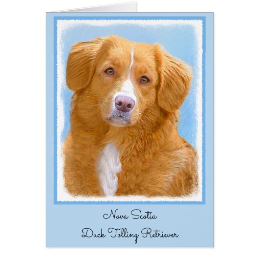 Nova Scotia Duck Tolling Retriever Dog Painting (Voorkant)