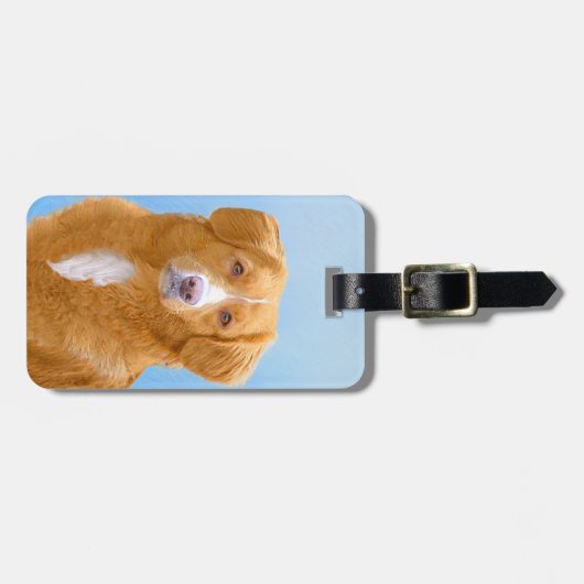 Nova Scotia Duck Tolling Retriever Dog Painting Bagagelabel (Voorkant horizontaal)