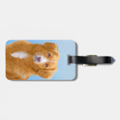 Nova Scotia Duck Tolling Retriever Dog Painting Bagagelabel (Achterkant horizontaal)