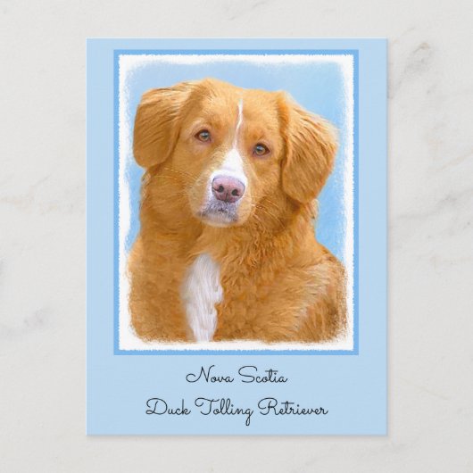 Nova Scotia Duck Tolling Retriever Dog Painting Briefkaart (Voorkant)
