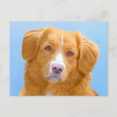 Nova Scotia Duck Tolling Retriever Dog Painting Briefkaart (Voorkant)