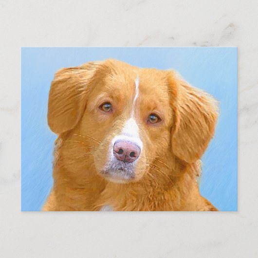 Nova Scotia Duck Tolling Retriever Dog Painting Briefkaart (Voorkant)