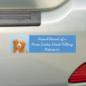Nova Scotia Duck Tolling Retriever Dog Painting Bumpersticker (Op auto)