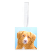 Nova Scotia Duck Tolling Retriever Dog Painting Decoratie (Voorkant)