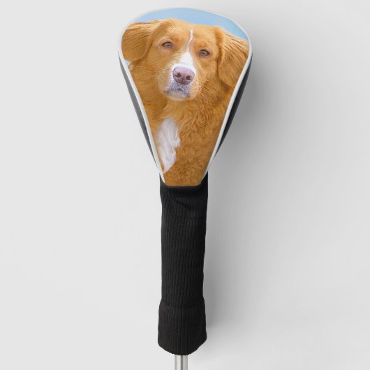 Nova Scotia Duck Tolling Retriever Dog Painting Golfheadcover (Voorkant)