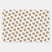 Nova Scotia Duck Tolling Retriever Dog Painting Inpakpapier Vel (Voorkant 2)