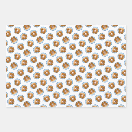 Nova Scotia Duck Tolling Retriever Dog Painting Inpakpapier Vel (Voorkant 2)