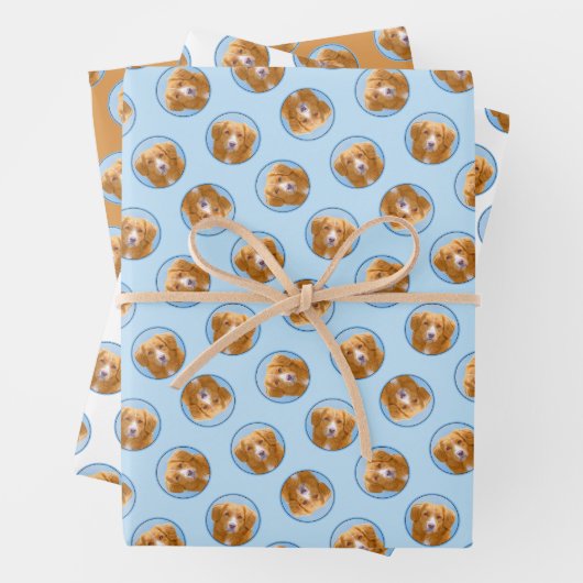 Nova Scotia Duck Tolling Retriever Dog Painting Inpakpapier Vel (In situ)