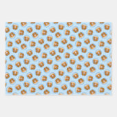 Nova Scotia Duck Tolling Retriever Dog Painting Inpakpapier Vel (Voorkant)