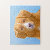 Nova Scotia Duck Tolling Retriever Dog Painting Legpuzzel (Verticaal)