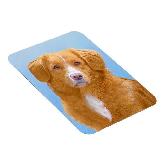 Nova Scotia Duck Tolling Retriever Dog Painting Magneet (Rechterzijde)