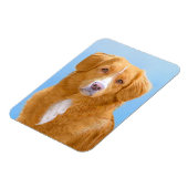 Nova Scotia Duck Tolling Retriever Dog Painting Magneet (Linkerzijde)
