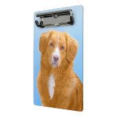 Nova Scotia Duck Tolling Retriever Dog Painting Mini Klembord (Angled2)