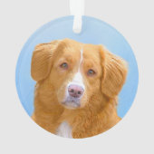 Nova Scotia Duck Tolling Retriever Dog Painting Ornament (achterkant)