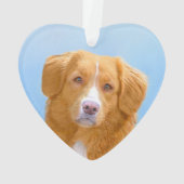 Nova Scotia Duck Tolling Retriever Dog Painting Ornament (achterkant)