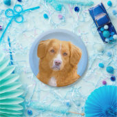 Nova Scotia Duck Tolling Retriever Dog Painting Papieren Bordje (Feest)