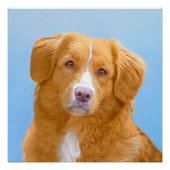 Nova Scotia Duck Tolling Retriever Dog Painting Perfect Poster (Voorkant)