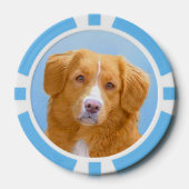 Nova Scotia Duck Tolling Retriever Dog Painting Poker Chips (Voorkant)