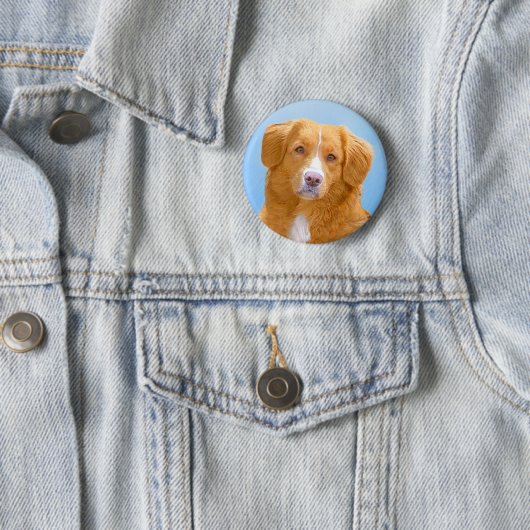 Nova Scotia Duck Tolling Retriever Dog Painting Ronde Button 5,7 Cm (In situ)