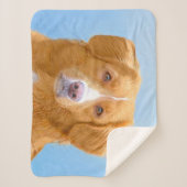 Nova Scotia Duck Tolling Retriever Dog Painting Sherpa Deken (Voorkant)