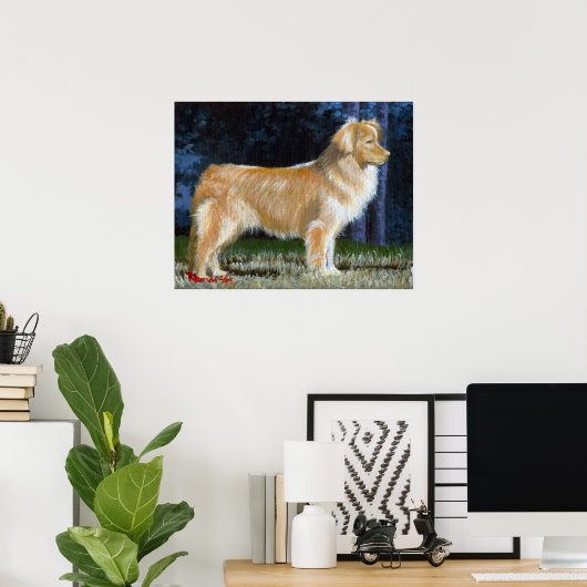 Nova Scotia Duck Tolling Retriever Dog Portret Poster (Thuiskantoor)