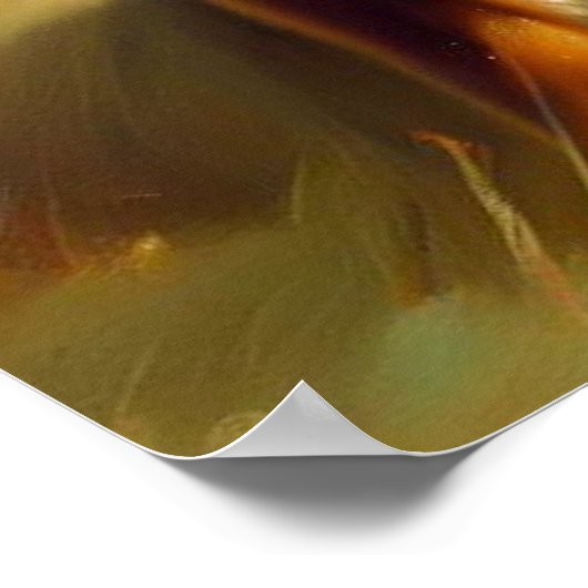 Nova Scotia Duck-Tolling Retriever Dog Poster (Hoek)