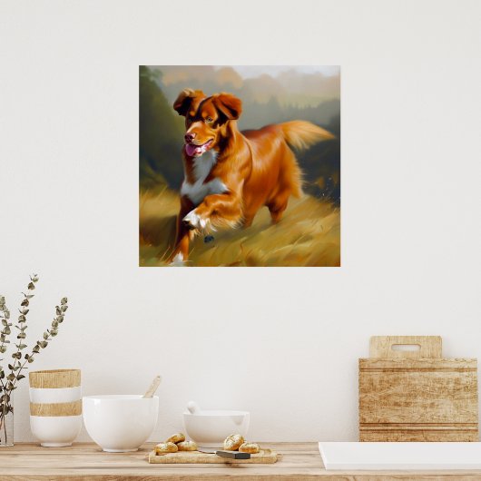 Nova Scotia Duck-Tolling Retriever Dog Poster (Keuken)