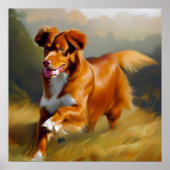 Nova Scotia Duck-Tolling Retriever Dog Poster (Voorkant)