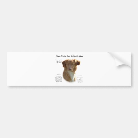 Nova Scotia Duck Tolling Retriever Geschiedenis On Bumpersticker (Voorkant)