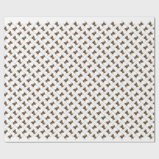 Nova Scotia Duck Tolling Retriever Geschiedenis On Cadeaupapier (Vlak)