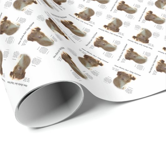 Nova Scotia Duck Tolling Retriever Geschiedenis On Cadeaupapier (Rol Hoek)