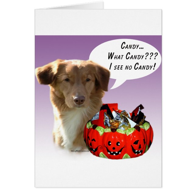 Nova Scotia Duck Tolling Retriever Halloween Snoep (Voorkant)