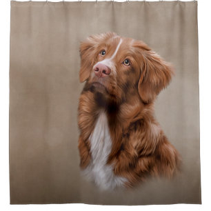 Nova Scotia Duck Tolling Retriever hond Douchegordijn
