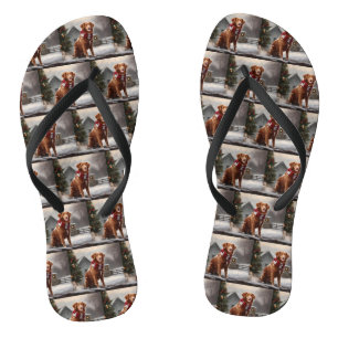 Nova Scotia Duck Tolling Retriever Hond in Sneeuw  Teenslippers