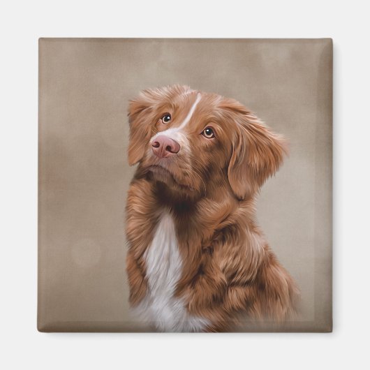 Nova Scotia Duck Tolling Retriever hond Magneet (Voorkant)