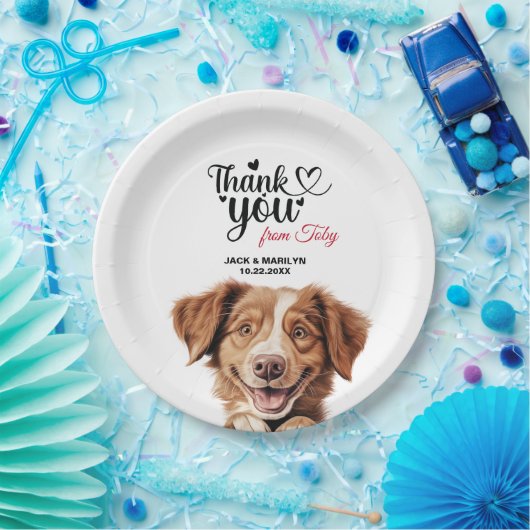 Nova Scotia Duck Tolling Retriever-hond Papieren Bordje (Feest)