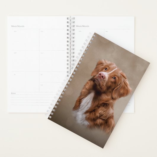 Nova Scotia Duck Tolling Retriever hond Planner (Display)