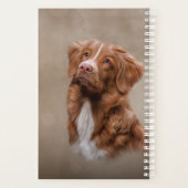 Nova Scotia Duck Tolling Retriever hond Planner (Achterkant)