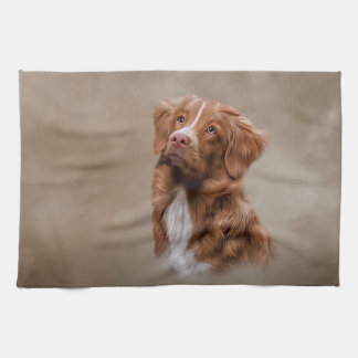 Nova Scotia Duck Tolling Retriever hond Theedoek