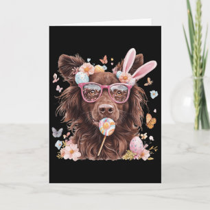 Nova Scotia Duck Tolling Retriever Hondenliefhebbe Kaart